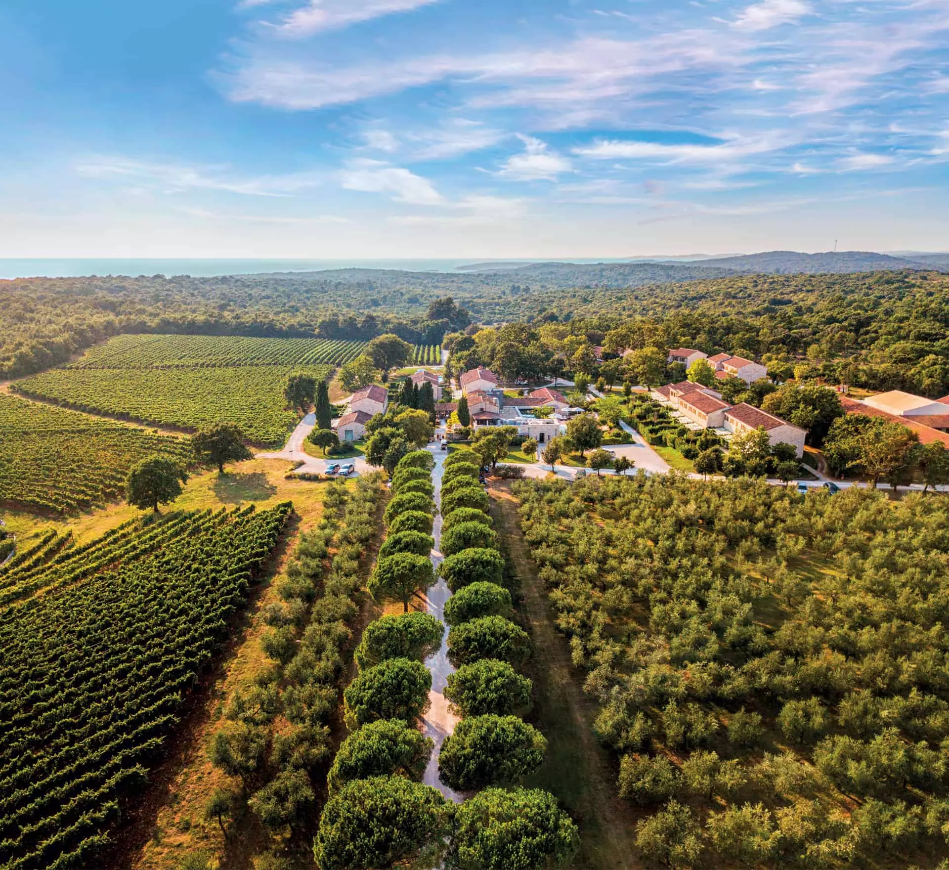 Sparkling wine fest O vinima